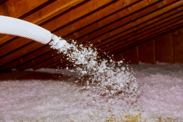 Types of Insulation We Offer in San Carlos, TX